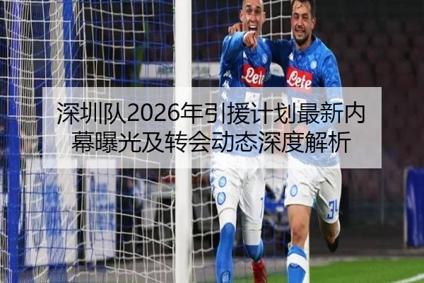 深圳队2026年引援计划最新内幕曝光及转会动态深度解析